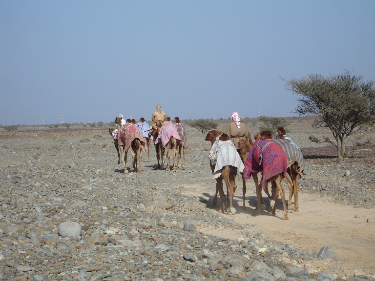 ME Primer 2: First&nbsp;Impressions