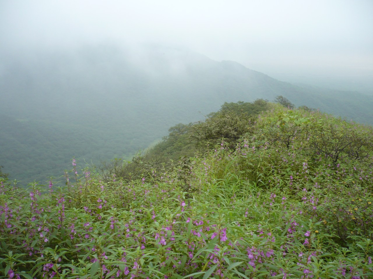 Oman Photo Stories #3: The&nbsp;South