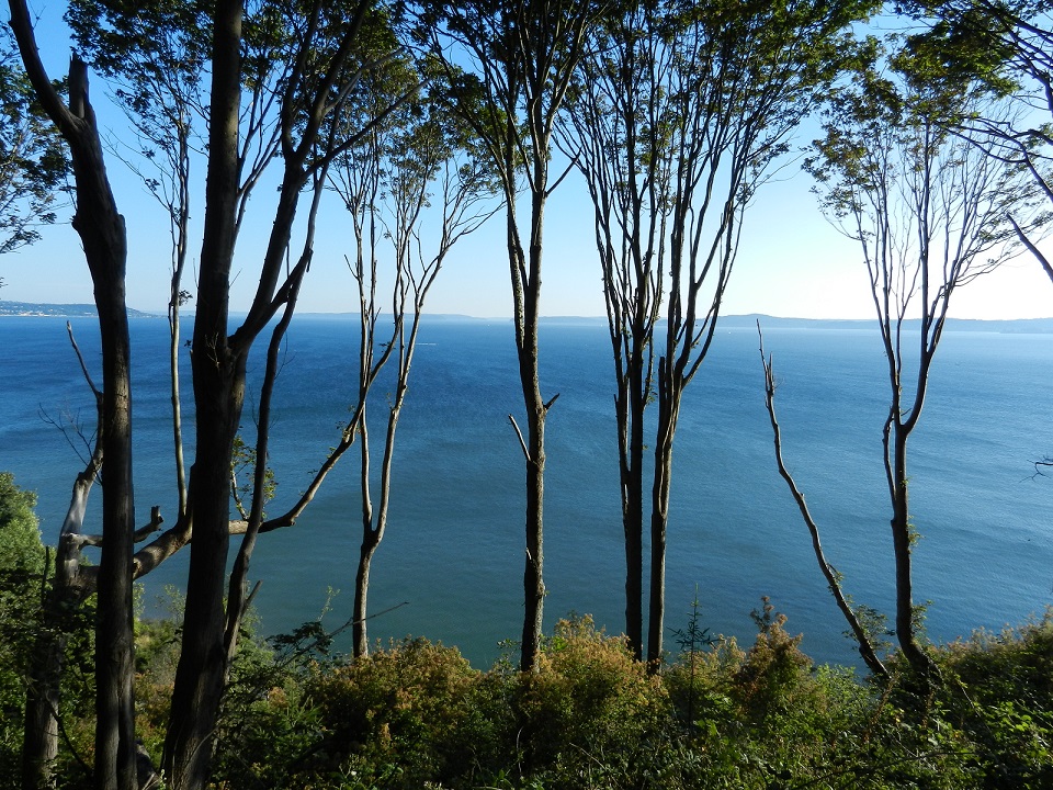 No More Advertisements